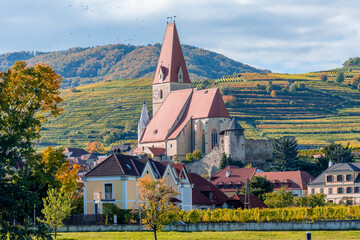 Weibenkirchen village with vineyards in Wachau valley, Austria - obrazy, fototapety, plakaty