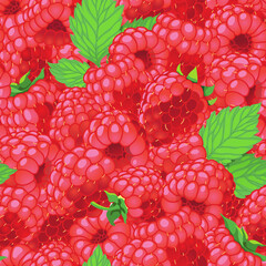 raspberries vector illustration seamless pattern