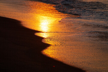 朝日が金色に輝く波打ち際