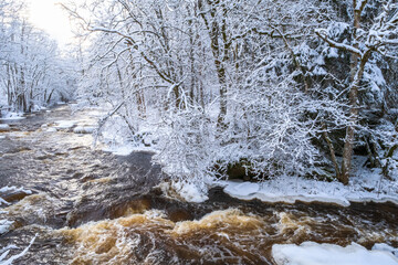 Cold winter day by a river in a woodland