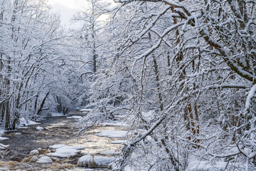 River landscape with hoarfrost on the trees