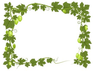 Fototapeta na wymiar Rectangular Frame with Hops. A branch with dense leaves and cones. Sagging shoots with leaves. Wild nature. Flat style illustration with place for text. Isolated on white. Vector