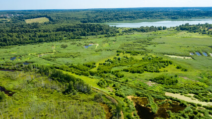Aerial view of a swamp in a woodland on a summer day
