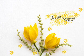 i am sorry message card with yellow flowers ylang ylang arrangement flat lay postcard style on...