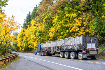 Blue big rig classic semi truck transporting pumpkin harvest in long bulk semi trailer driving on...