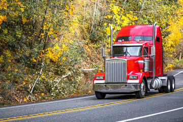 Bright red shiny big rig American bonnet classic semi truck tractor driving on the autumn road...