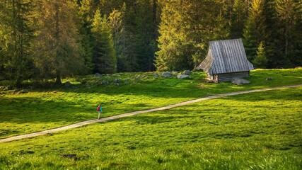 Fototapeta Ogólny widok na Rusinową Polanę w Tatrach bardzo znane miejsce turystyczne obraz