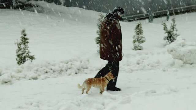 Lame old man walks his dog on a leash down the street in winter