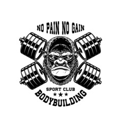Gorilla with crossed gym barbells. Design element for logo, emblem, sign, poster, t shirt. Vector illustration