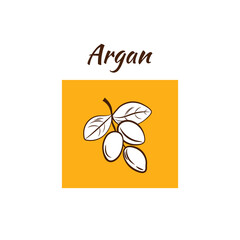 Argan Illustration, Label Template, Hand Drawn Style Outline Argan Sprig, Argania Oil, Package.