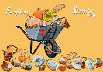 Autumn illustration. Pumpkins in a cart on a yellow background with inscriptions. Harvesting.