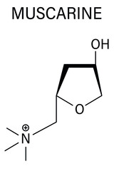 Muscarine mushroom toxin molecule. Agonist of the muscarinic acetylcholine receptors. Skeletal formula.