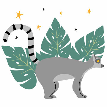  Childrens poster with lemur and monstera leaves. Hand-drawn limur in cartoon style. The illustration is suitable for cards, labels and posters for the nursery.