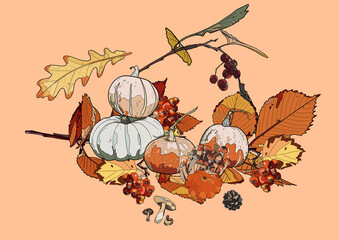 Pumpkins, mushrooms, leaves and berries on a pink background. Autumn background.