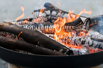 feu de bois