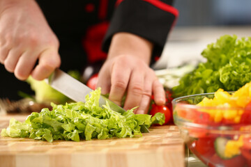 Naklejka na ściany i meble A male chef cuts a green salad with a knife