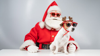 Santa claus and santa's helper in sunglasses on a white background. Jack russell terrier dog in a...