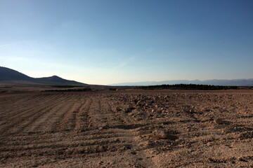 Champs labourés. Andalousie. Espagne.