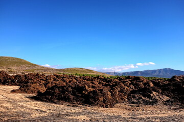 Tas de fumier dans un champ. avant épandage.