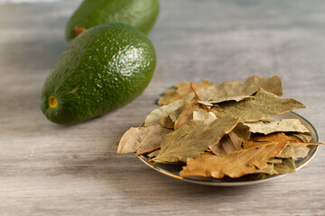 Avocado and dried leaves on a table. Alternative medicine.