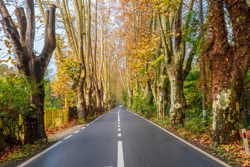 Ataturk Arboretum in Sariyer district of Istanbul