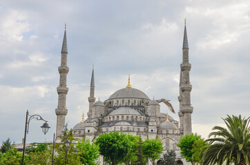 View of the famous Blue Mosque Sultan Ahmet Cami in Istanbul Turkey