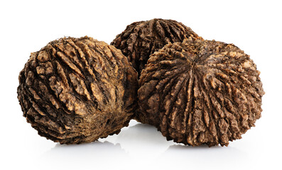 Black walnuts isolated on white background. With clipping path.