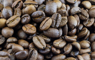 isolated image of coffee beans close-up
