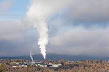 Smoking factory in the middle of the forest.