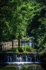 Fototapeta na wymiar Waterfall scene in the Cerezuelo river in Cazorla. Forest with river and intense green colors.