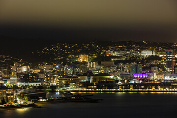 Fototapeta na wymiar ニュージーランド　首都ウェリントンのオリエンタル・ベイの丘からウェリントン港の夜景