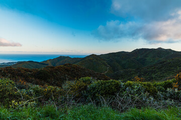 ニュージーランド　首都ウェリントンのブルックリンの風車の丘から見える風景とクック海峡