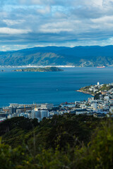 Fototapeta na wymiar ニュージーランド　首都ウェリントンのブルックリン・アーミーバンカーの丘から見えるウェリントン港の風景とマティウ・サムズ・アイランド