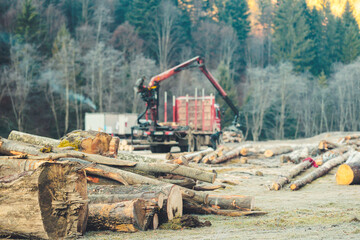 Lumber price has escalated because there is a huge demand for lumber across the country. Due to a shortage of wood, timber prices have soared, thereby adding to the rising cost of new homes