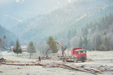 Cutting down trees does disturb ecosystems, the logging industry has become more conscious of this and strives to cut in such a way that minimizes harm to the environment - obrazy, fototapety, plakaty