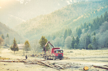 Naklejka premium Climate change is bad news for ecosystems and also for the logging industry, which could have serious