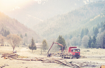 High demand for timber exploitations, timber production from virgin forests in Central-Eastern...