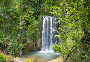 Beautiful waterfall in green forest among trees