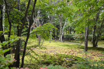 軽井沢の裏道風景