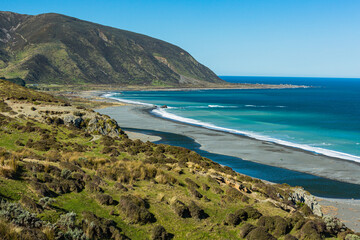 ニュージーランド　首都ウェリントンの近郊のワイヌイオマタのイースト・ハーバー・リージョナル・パークの丘から見えるビーチとクック海峡