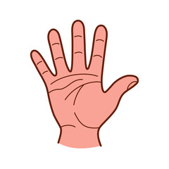 Hand gesture. Open palm. Сolor vector in hand drawn style.