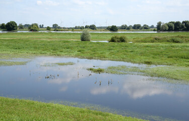 Überflutungsbereich bei Tangermünde