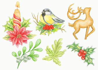 Obraz premium Winter christmas set.Hand drawn watercolor illustration with titmouse,christmas candle,deer,holly berry,mistletoe branch and fir branch.
