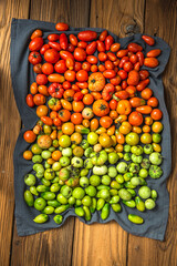Colorful Tomatoes, Frresh and Ripe Vegetables
