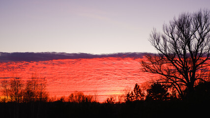 Landscape in late autumn. Crimson sunset before the change of weather. Large tree on the background of the sunset. The silhouette of a tree at sunset.