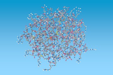 Human cathepsin G. Atoms are shown as spheres with conventional color coding: carbon (grey), oxygen (red), hydrogen (white), nitrogen (blue), sulfur (yellow), phosphorus (orange). 3d illustration