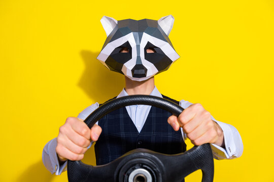 Photo of authentic surreal guy racoon mask ride road car hold steering wheel isolated over shine yellow color background