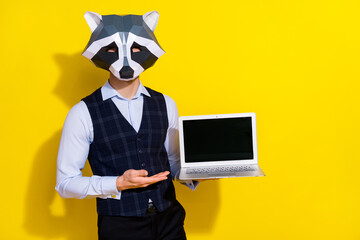 Photo of promoter guy hand showing pc screen empty space wear raccoon mask vest isolated yellow color background © deagreez