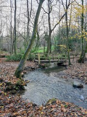 Yorkshire UK winter woods scene with stream and bridge 