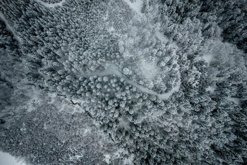 ice on the river